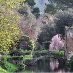 Cattura_compressed-4