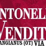 antonello-venditti-in-concerto-a-calangianus-7