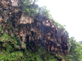 seulo