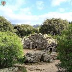 14718315_203575566712665_4628865539719036928_n-3