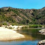 pinna-LaStampa.it-1-2