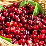 sagra-delle-cerase-1