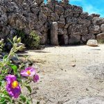 18382111_1447929825263050_4238455580903079936_n-25