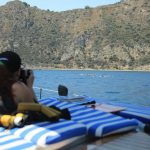 18486318_1515329265165492_3422068082286453198_n-5