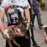 capretta-1-e1496011516405-24