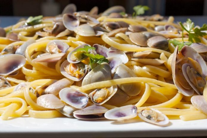 sagra della tellina ostia