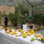 AgruMi 2018: due giorni tra i profumi mediterranei a Villa Necchi Campiglio