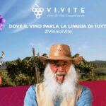 vivite-festival-del-vino-cooperativo